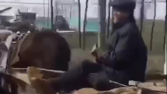 爷 中 爷 1